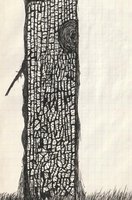 Birch; notepad, pencil. Drawn in August, 2020. Size: 11,5x16,5 cm.